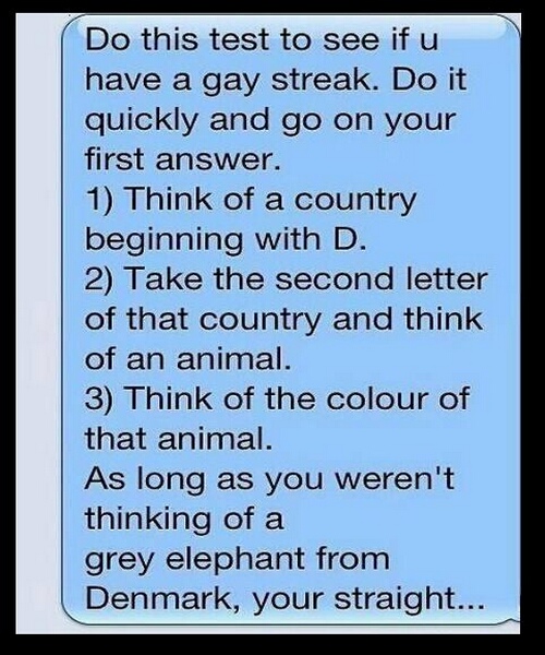 the gay test