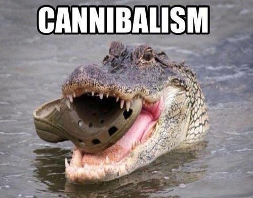The cannibal croc